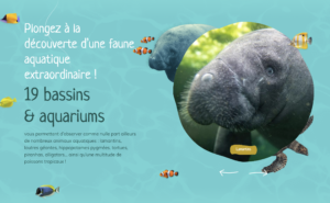 zoo de beauval