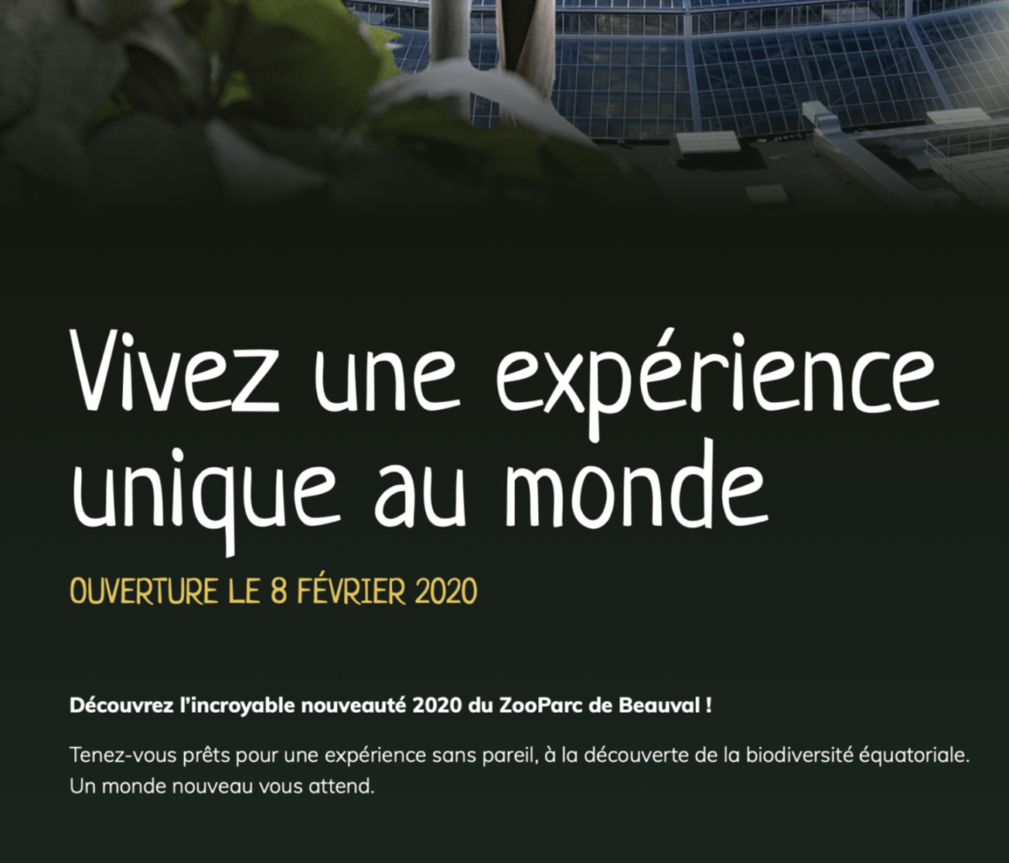 la nouveauté 2020 au Zool de Beauval