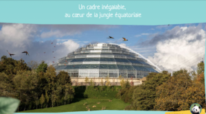 La nouveauté du Zoo de Beauval